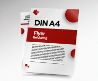 DIN A4 (210x297mm) Flyer/Poster doppelseitig |