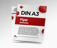 DIN A3 (420x297mm) Flyer/Poster doppelseitig |
